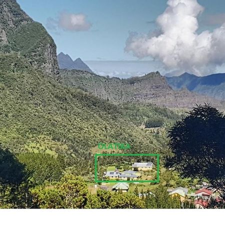Olatika - Gite Des Cascades Cilaos Eksteriør bilde