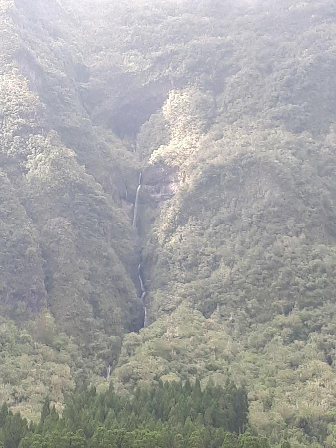 Olatika - Gite Des Cascades Cilaos Eksteriør bilde